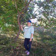 ���������� ������, ���� ������� �����, 49 ���, ������������ ��� ������, ����� � ���������