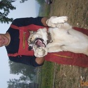   ,   Sergofan, 38 ,   