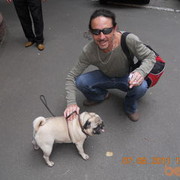 ���������� ����, ���� ������� ������, 54 ����, ������������ ��� ����� � ���������, c�������� ���������