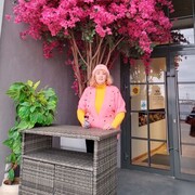  -,   , 52 ,   ,   