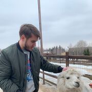 ���������� ������, ���� ������� ������, 27 ���, ������������ ��� ������, ����� � ���������