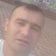  -,   , 41 ,   ,   