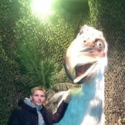 ���������� �����-���������, ���� ������� ����, 42 ����, ������������ ��� ������