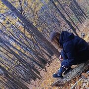 ���������� ���, ������