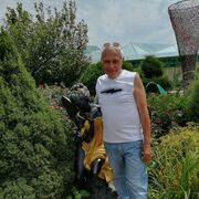 ���������� ������������, ���� ������� �������, 66 ���, ������������ ��� ����� � ���������, c�������� ���������