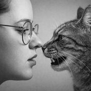 ���������� ������, �����