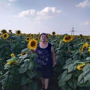 ���������� �����������, ���� ������� ������, 63 ����, ������������ ��� c�������� ���������