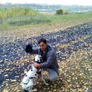 ���������� �����, ���� ������� ���������, 36 ���, ������������ ��� ������, ����� � ���������, c�������� ���������