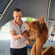 ���������� �������, ���� ������� ������, 52 ����, ������������ ��� ����� � ���������, c�������� ���������