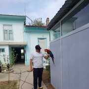  ,   Ulugbek, 34 ,   ,   , c 