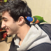 ���������� ����������, ���� ������� MEHROJIDDIN, 26 ���, ������������ ��� ������, ����� � ���������, c�������� ���������, ���������