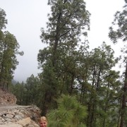 ���������� �����, ���� ������� ��������, 41 ���, ������������ 