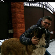 ���������� �����, ���� ������� ������, 46 ���, ������������ ��� ����� � ���������, c�������� ���������