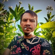  ,  GerVoronkin, 42