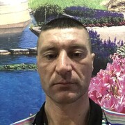 ���������� �������, ���� ������� �����, 40 ���, ������������ ��� c�������� ���������