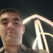  ,   LION, 31 ,   ,   