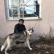 ���������� �������, ���� ������� ����, 36 ���, ������������ ��� ������, ����� � ���������