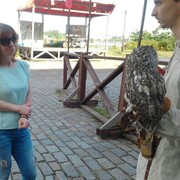 ���������� ������, ���� ������� ����k�, 37 ���, ������������ ��� c�������� ���������