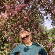  ,   , 49 ,   ,   , 
