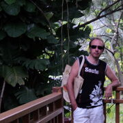 ���������� �������, ���� ������� ����, 55 ���, ������������ ��� ������, ����� � ���������, c�������� ���������