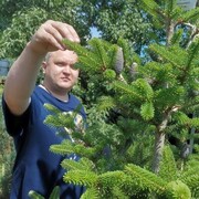 ���������� ��������, ���� ������� �����, 36 ���, ������������ ��� c�������� ���������