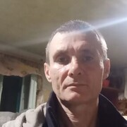   ,  , 46