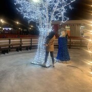 ���������� ������, ���� ������� ���������, 29 ���, ������������ ��� ����� � ���������, c�������� ���������, ���������