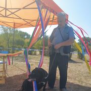 ���������� ��������, ������� �������, 62