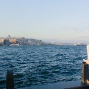 ���������� �����-���������, ���� ������� ����, 36 ���, ������������ ��� ������, ����� � ���������, c�������� ���������