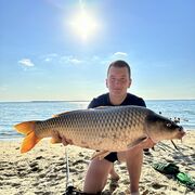  ,  Andrew, 28