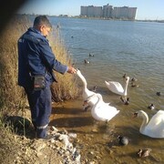  ,   , 63 ,   ,   , c 