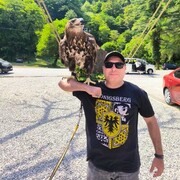 ���������� ������, ���� ������� ������, 45 ���, ������������ ��� ������, ����� � ���������, c�������� ���������, ���������