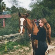 ���������� ������, ���� ������� �����, 24 ����, ������������ ��� ���������