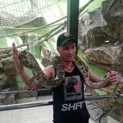 ���������� �����, ���� ������� ����, 40 ���, ������������ ��� ������, ����� � ���������, c�������� ���������