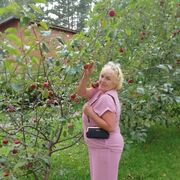 ���������� �����������, ���� ������� �������, 68 ���, ������������ ��� ���������