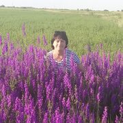 ���������� �����������, ���� ������� �������, 62 ����, ������������ ��� ������, ����� � ���������