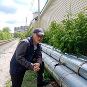 ���������� ������ ��������, ���� ������� C�����, 50 ���, ������������ ��� c�������� ���������