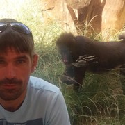 ���������� ������, ���� ������� ������, 40 ���, ������������ ��� ������, ����� � ���������, c�������� ���������, ���������