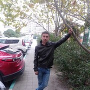 ���������� ������������, ���� ������� ������, 41 ���, ������������ ��� ����� � ���������, c�������� ���������, ���������