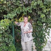 �������� ������ 2024