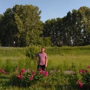  ,   , 54 ,   ,   