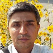  -,   Bakha, 39 ,     , c 