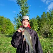 ���������� ������, ���� ����� ����, 21 ���, ������������ ��� ������, ����� � ���������, c�������� ���������