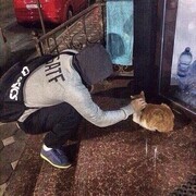 ���������� ������ ��������, ���� ������� ����, 30 ���, ������������ ��� ������, ����� � ���������, c�������� ���������, ���������