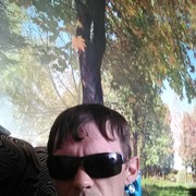  -,   , 41 ,  
