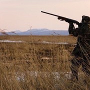 ���������� �������, ���� ������� ����, 42 ����, ������������ ��� ������