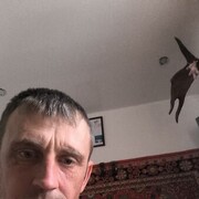  ,  , 44