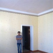 ���������� �������, ���� ������� Baevik, 35 ���, ������������ 