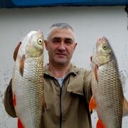  ,   , 50 ,   c 
