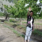  ,   Han, 30 ,   ,   